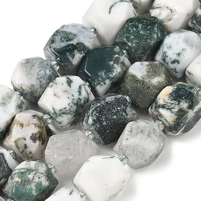 Natural Tree Agate Beads Strands, Nuggets, Faceted, with Seed Beads