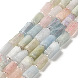 Natural Morganite Beads Strands, with Seed Beads, Faceted, Column