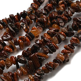 Natural Red Pietersite Beads Strands, Chip