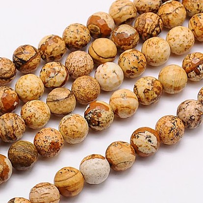 Natural Picture Jasper Beads Strands, Faceted, Round