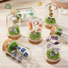 Pierres précieuses naturelles affichage décorations, plantes miniatures, avec cloche cloche en verre terrarium et socle en liège, arbre