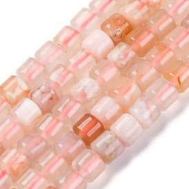 Natural Cherry Blossom Agate Beads Strands, Column