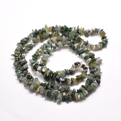 Natural Moss Agate Chip Bead Strands, 5~8x5~8mm, Hole: 1mm, about 31.5 inch