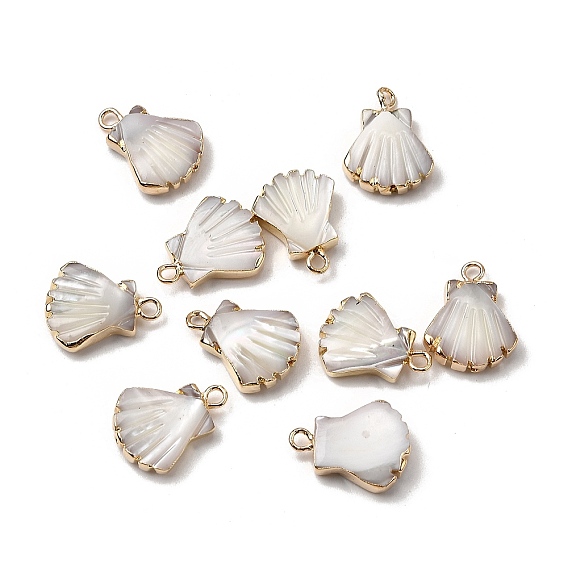 Натуральная ракушка трохида / подвески из ракушки трохуса, подвески в форме ракушки с латунной окантовкой, цвет морской раковины