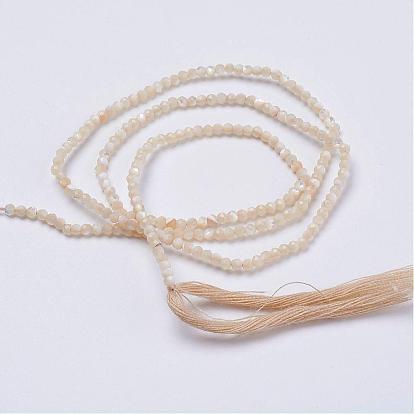 Natural Shell Beads Strands, Round, Faceted, Round