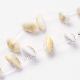 Brins de perles de coquillage cauri naturel