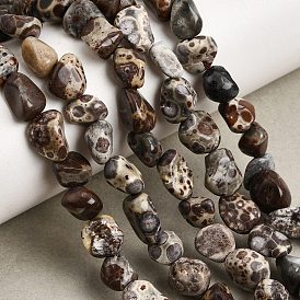 Natural Leopard Skin Jasper Beads Strands, Tumbled Stone, Nuggets