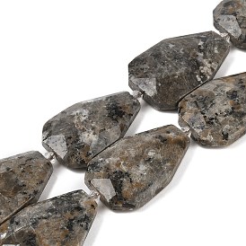 Natural Syenite Beads Strands, Faceted Teardrop