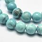 Natural Howlite Beads, Dyed, Round