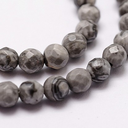 Natural Map Stone/Picasso Stone/Picasso Jasper Beads Strands, Faceted, Round, Gray