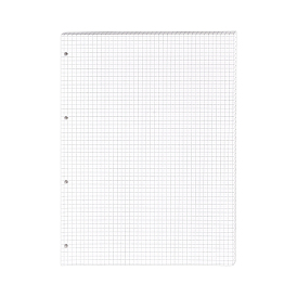 60 pièces de papier de remplacement rectangulaire à trous, papier à relier