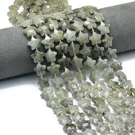 Природные лабрадорита бисер нитей, граненые, звезда, с бисером