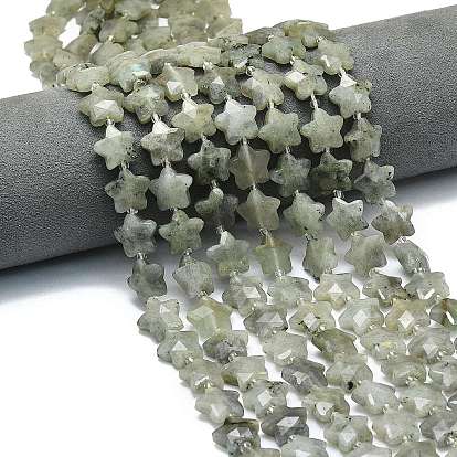 Природные лабрадорита бисер нитей, граненые, звезда, с бисером