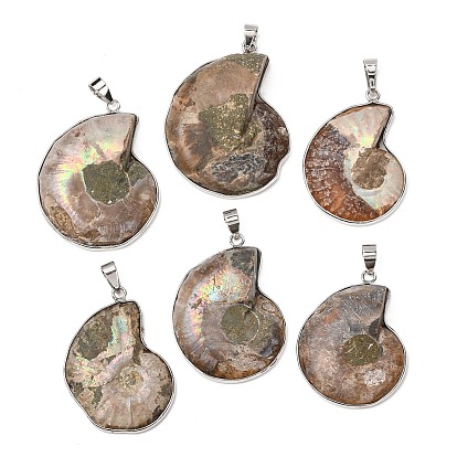 Snail Fossil Pendants, with Brass Pendant Settings, Platinum, 35~50x25~35x8mm, Hole: 4x6mm