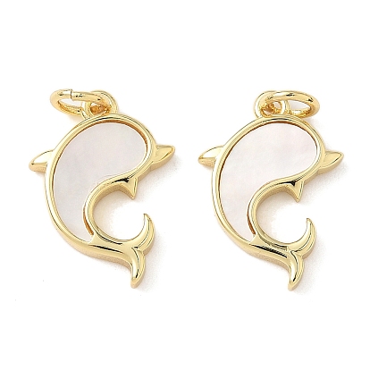 Подвески из латуни из натуральных ракушек, прелести дельфинов, с прыжковых колец, без свинца и без кадмия, долговечный, стойки покрытие, цвет морской раковины