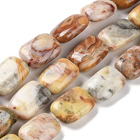 Natural Crazy Agate Beads Strands, Rectangle