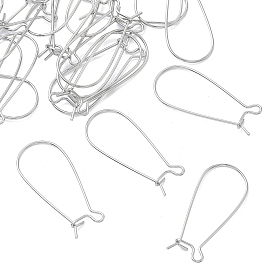 SHEGRACE Brass Kidney Ear Wire, Hoop Earring Findings, Cadmium Free & Nickel Free & Lead Free, Long-Lasting Plated