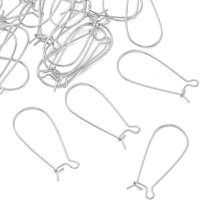 SHEGRACE Brass Kidney Ear Wire, Hoop Earring Findings, Cadmium Free & Nickel Free & Lead Free, Long-Lasting Plated