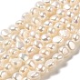 Natural Cultured Freshwater Pearl Beads Strands, Two Sides Polished, Grade 5A