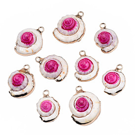 Shell Pendants, with Golden Plated Brass Edge and Loop, Dyed
