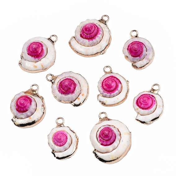 Shell Pendants, with Golden Plated Brass Edge and Loop, Dyed