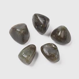5Pcs Natural Labradorite Beads, Tumbled Stone, Vase Filler Gems, No Hole/Undrilled, Nuggets