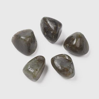 5Pcs Natural Labradorite Beads, Tumbled Stone, Vase Filler Gems, No Hole/Undrilled, Nuggets
