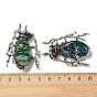 Dual-use Items Alloy Insects Brooch, with Shell, Antique Silver