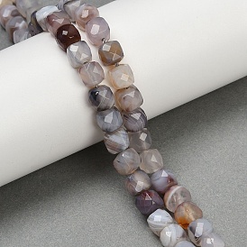 Природные Ботсвана агат бисер нитей, граненые, кубические