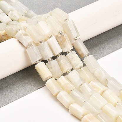 Natural White Moonstone Beads Strands, with Seed Beads, Faceted Column