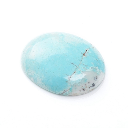 Cabochons howlite naturelles, teints et chauffée, ovale