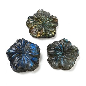 Natural Labradorite Carved Cabochons, Flower