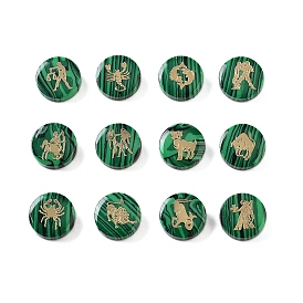 Synthetic Malachite Beads, with Golden Tone Brass Slices, Flat Round with Constellations