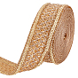 5 Yards Polyester Ribbon, Emobridered Woven Ribbon, for Garment Accessories