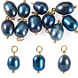 10 pcs pendentifs de perles d'eau douce de culture naturelles, charmes ovales, avec 304 accessoires en acier inoxydable