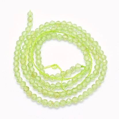Natural Prehnite Beads Strands, Round, Faceted