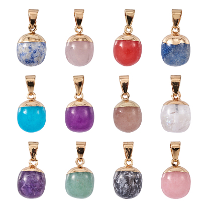 12шт 12 стиль топ позолоченные натуральные смешанные драгоценные камни подвески, с железной защелкой на дужках и петле, баррель