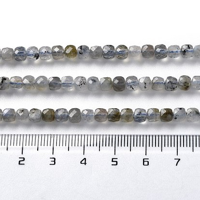 Natural Labradorite Beads Strands, Faceted, Square