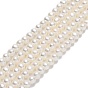 Natural Cultured Freshwater Pearl Beads Strands, Potato