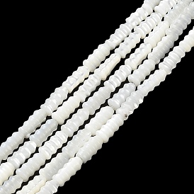 Natural Trochus Shell Beads Strands, Grooved Column Beads
