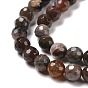 Natural Petrified Wood Beads Strands, Faceted(128 Facets), Round