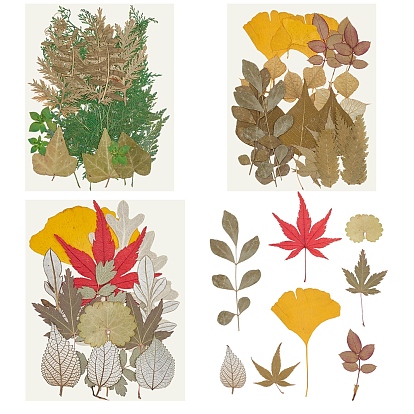 3 сумки 3 стили набор материалов из зеленых листьев, Диетические аксессуары