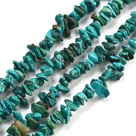 Natural HuBei Turquoise Beads Strands, Chip