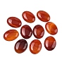 Cabochons en agate naturelles, Grade a, teint, ovale