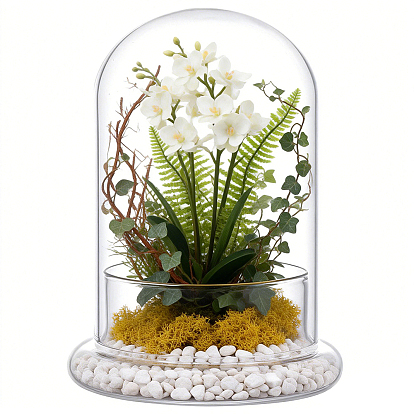 Cubierta de cúpula de vidrio de arco, vitrina decorativa, terrario de campana cloche
