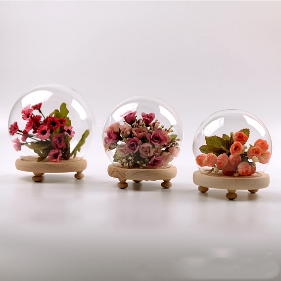 Couvercle de dôme en verre, vitrine décorative, terrarium cloche ronde avec socle en bois