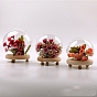 Couvercle de dôme en verre, vitrine décorative, terrarium cloche ronde avec socle en bois