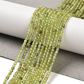 Natural Peridot Beads Strands, Round, Faceted