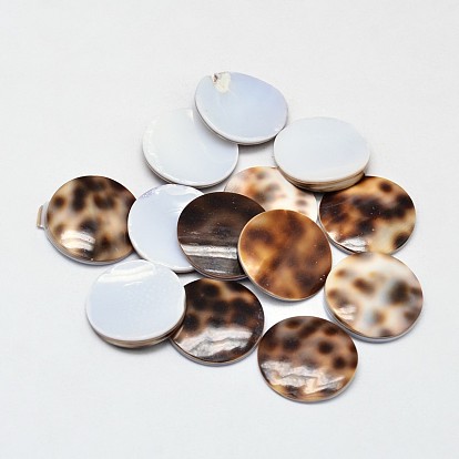 Plats cabochons shell rondes