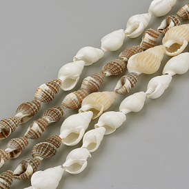Natural Sea Shell Beads Strands